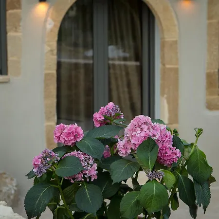 Basiliko Vila Kamara Kalidonias